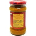 thumbnail image 2 of Rani Vindaloo Curry Cooking Spice Paste, Hot! 10.5oz (300g) Glass Jar, Pack of 5+1 FREE ~ No Colors | All Natural | NON-GMO | Vegan | Gluten Free | Indian Origin, 2 of 8