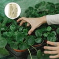 thumbnail image 4 of 20pcs Grow Wool Plugs Soilless Culture Hydroponic Planting Grow Cylindrical Blocks Cultivation Tubes, 4 of 4
