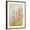 Brown Frame, variant on Art.com Spring Time II Stretched Canvas Print Wall Art by Tim O'toole, 12" x 16"