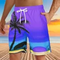 thumbnail image 2 of Traje De Baño Shorts De Imprimir Playa Bañadores Para Hombre, 2 of 7
