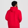 thumbnail image 5 of Champion Adult Sizing Iconic Embroidered Hoodie - Red, 5 of 6