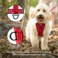 thumbnail image 4 of Kurgo Enhanced Strength Tru-Fit Smart Dog Harness, Black, Small - Crash Tested Car Safety Harness, 4 of 6