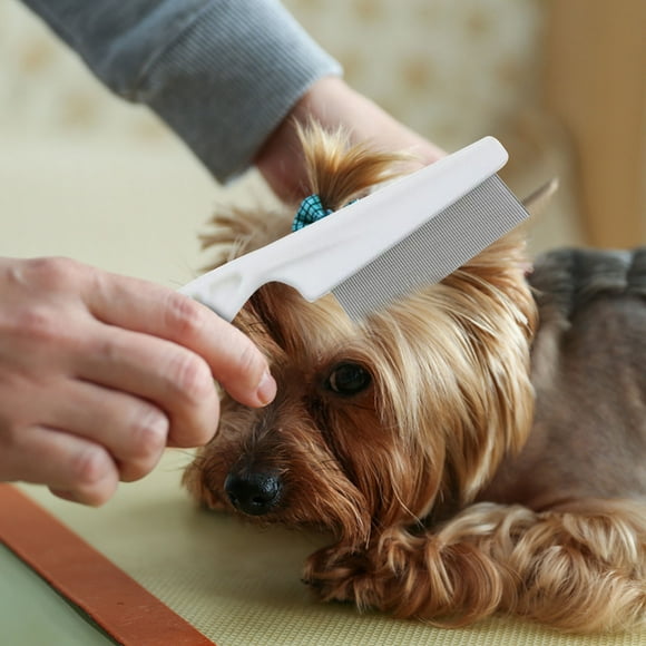 My Order! Aqestyerly Pet Flea Removal Comb Dog Comb Flea Removal Comb Beauty Comb Hair Removal Pet Comb Health and Beauty Gifts for Women