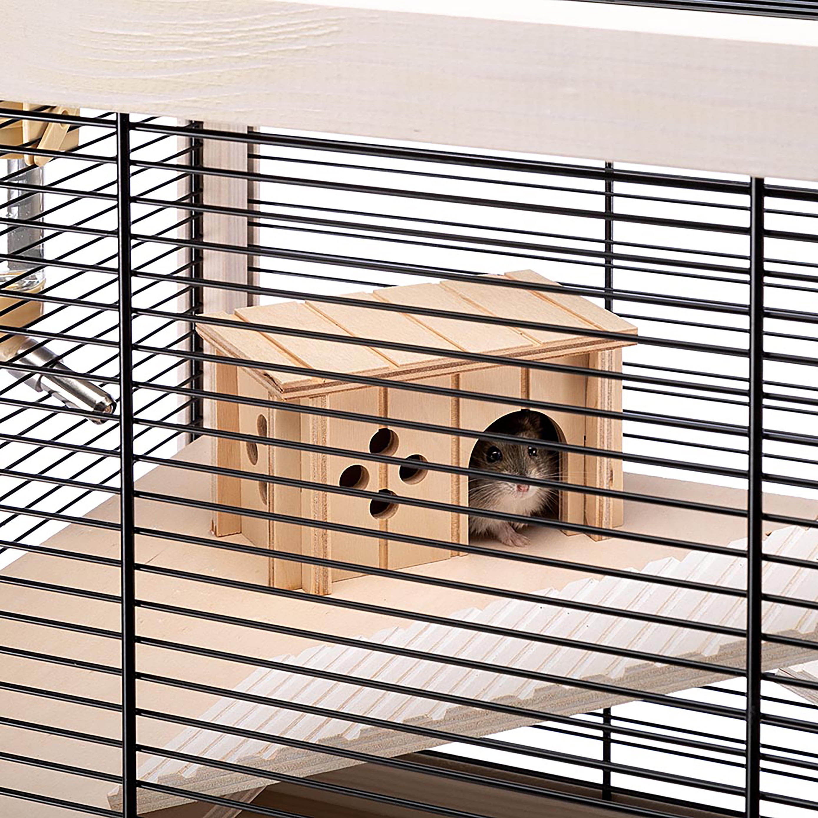 Hamsterville outlet
