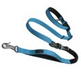 thumbnail image 1 of yingyy Reflective Pet Walking Leash Running Jogging Biking Animal Adjustable Elastic Band Bungee Rope Reusable Portable Blue, 1 of 6