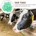 thumbnail image 3 of 100 Sets Blank Livestock Ear Tags Livestock Identification Animal Ear Tags, 3 of 9