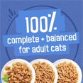 thumbnail image 4 of Friskies Friands de Fruits de Mer et de Poulet Assortiment, 24 x 156 g, 4 of 9