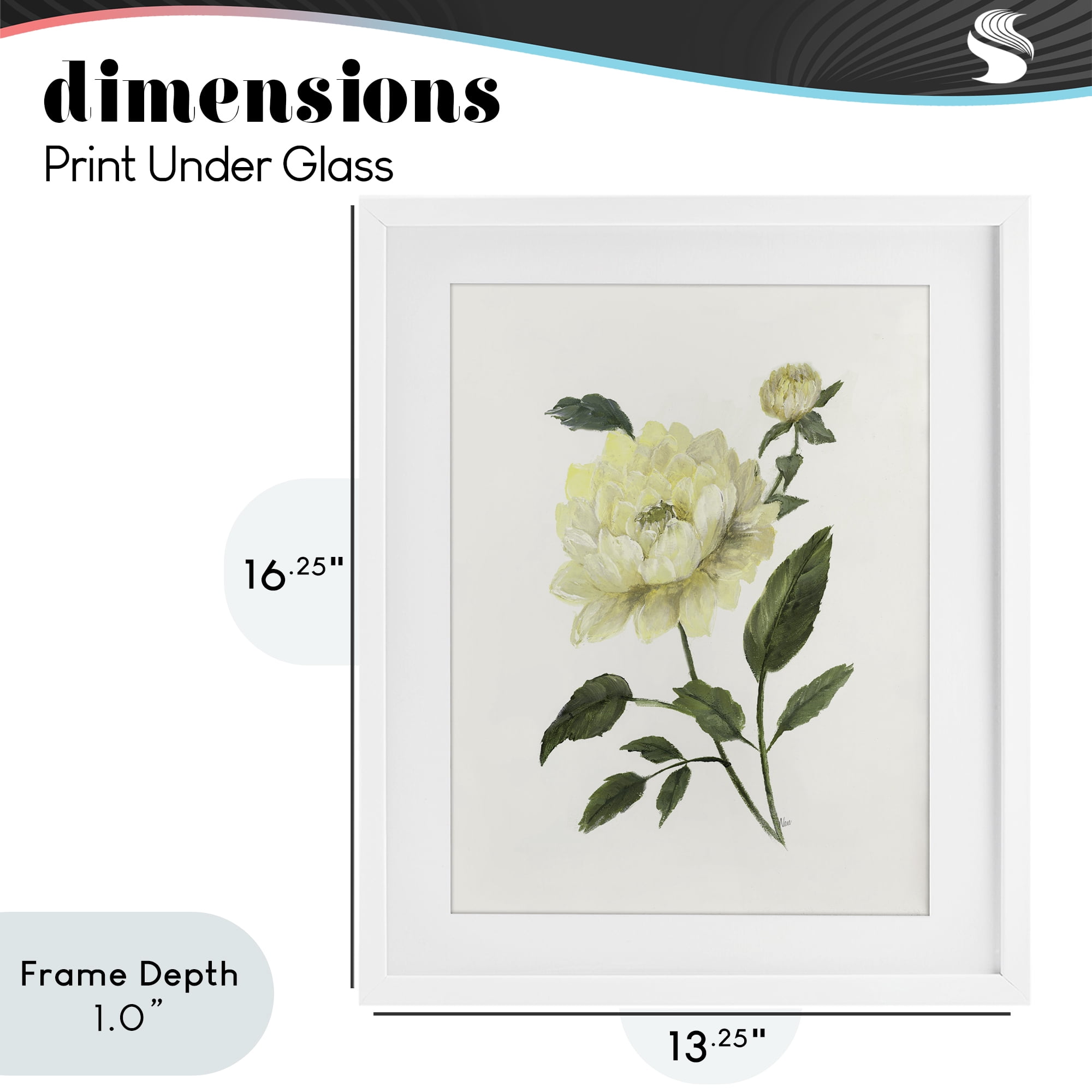 Stupell Industries Cream Garden Peony with Buds White Framed Print Under Glass, design by Nan