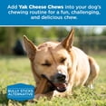 thumbnail image 3 of Best Bully Sticks Himalayan Yak Cheese for Dogs, Large 3 Pack - Natural Yak Chews for Dogs - Lactose Free Odor Free - Long Lasting Dog Chews, 3 of 6