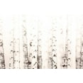thumbnail image 7 of Birchwood Painting Print on Wrapped Canvas, 7 of 7