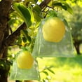 thumbnail image 2 of Fruit Protection Bags Green Fruit Trees Mesh Bags 6×8in 50pcs, 2 of 6