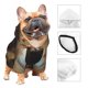 thumbnail image 3 of Balery Grassland Sunflower Cow Sudadera con Capucha para Perros Pequeños – Ropa para Mascotas, Disfraz para Perros y Gatos, Ideal para Fiestas y Cosplay-X-Large, 3 of 7