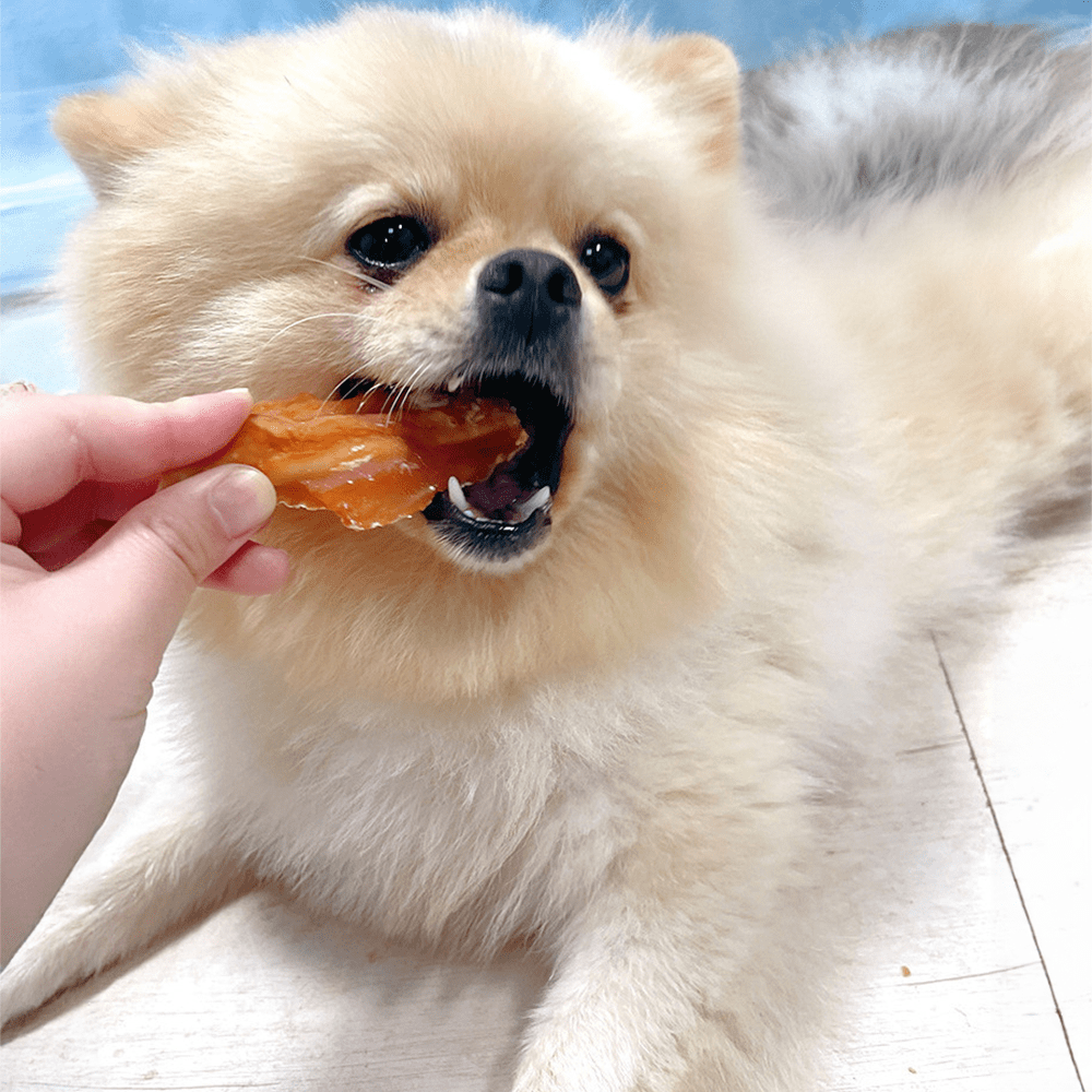 2.64lb/1.2kg Mixed Flavor Series, Easily Digestible, Dog Chews Long Lasting, And High Protein, Low Fat, Perfect Training Reward Snack For Small, Medium and Large Dogs