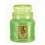 Honeydew Melon -  Courtneys Candles Maximum Scented 16oz Jar Candle