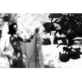 thumbnail image 2 of Kreigere, Inese 14x11 Black Ornate Wood Framed with Double Matting Museum Art Print Titled - Apples Ii, 2 of 4