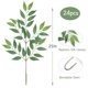 thumbnail image 2 of Tallos artificiales para vegetación mizii Italian Ruscus 20 pulgadas (24), 2 of 8
