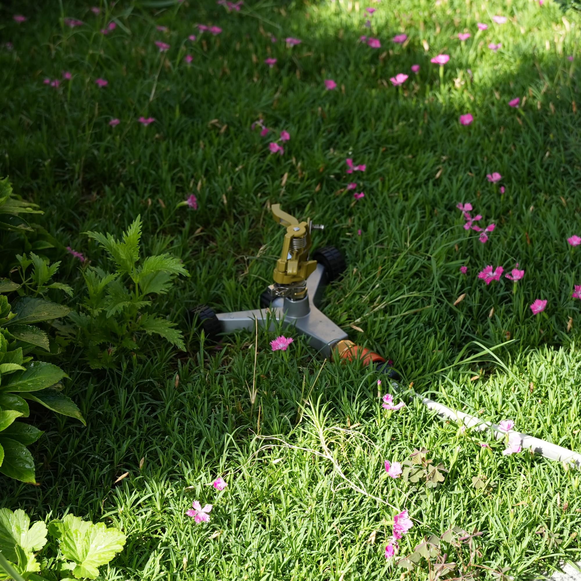 Strongway Metal Impact Sprinkler on Wheeled Base, 85ft. Dia. Coverage, 3/4in. Connection