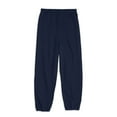thumbnail image 3 of Hanes Boys Ecosmart Fleece Sweatpants and Pullover Hoodie 2-Piece Sweatsuit, Sizes 4-18, 3 of 5