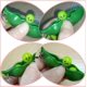 thumbnail image 3 of 3 PCS Fidget Toy Set, Edamame Keychain Squeeze-a-Bean Soybean Edamame Stress Relief Anti-Ansiedad Fun Bean Toy Gift Adepaton LRWJ548, 3 of 7