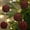 3.14in, variant on HOARBOEG Flocking Christmas Ball Ornaments 3.14in 3pcs Boxed Set, Velvet Painted Christmas Tree Pendants for Holiday Decor, Festive Red Velvet Ball Decorations for Xmas Tree