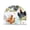 Type 1036, variant on Roosters and Chickens Pattern Acrylic Napkin Holder Tissue Paper Clear Tabletop Dispenser Dining Room Bathroom Party Hotel