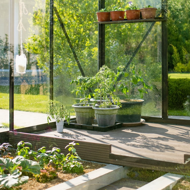 Ktaxon 6'x8' Gardening - Walk in Greenhouse, with Polycarbonate
