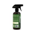thumbnail image 3 of As I Am Rosemary Hair Water - 16 fl oz, 3 of 4