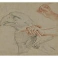 thumbnail image 3 of Carlo Maratti 16x15 Black Modern Framed Museum Art Print Titled - Study for an Eagle's Head, Three Studies for a Hand with a Quill and One Study for a Hand Holding a Book (1624 - 1714), 3 of 5