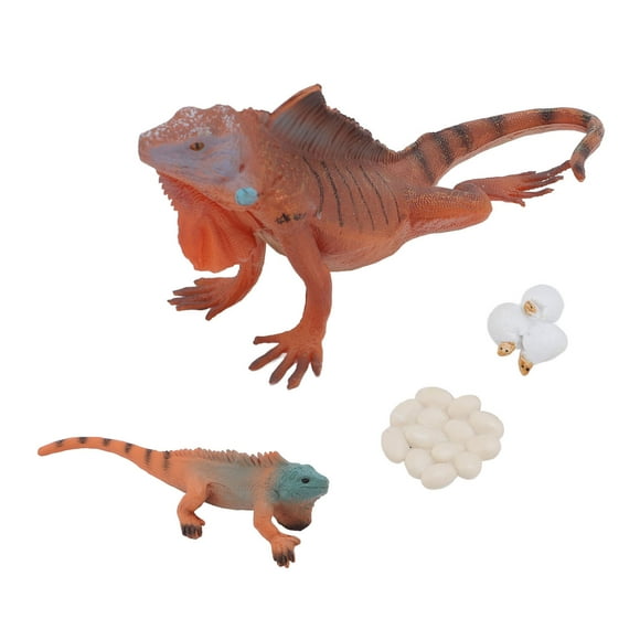 Iguana Life Cycle Model Set, PVC Plastic Animal Figures Iguana Growth Cycle Model Lifelike Ornament for Early Education