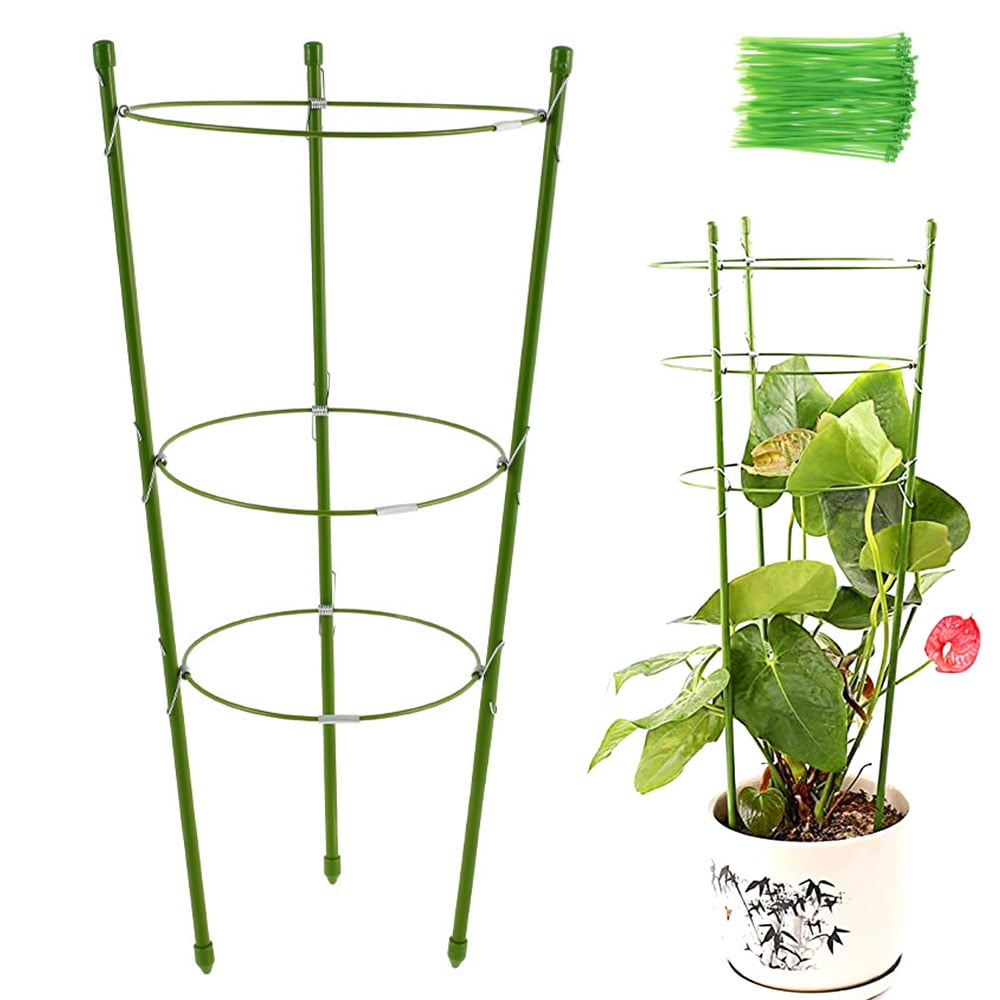 Plant Support Cage Durable Climbing Trellis Flowers Tomato Stand with 3 Rings 