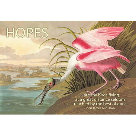 Hopes are shy birds flying at a great distance seldom reached by the best of guns John James Audubon Poster Print by John James