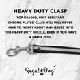 thumbnail image 6 of Regal Dog Products Reflective Standard Collar and 5ft Leash Set, 6 of 8