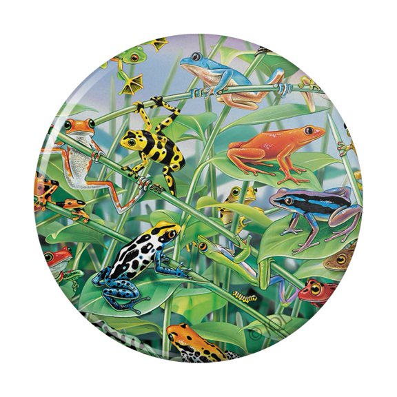 Colorful Rainforest Tree Frogs Just Hanging Around Pinback Button Pin