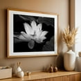 thumbnail image 4 of Ethereal Blossom - Photography Black and White Floral Flowers Nature Minimalist Botanical Scenic Oak Framed Wall Art Print 20 x 30 inches, 4 of 6
