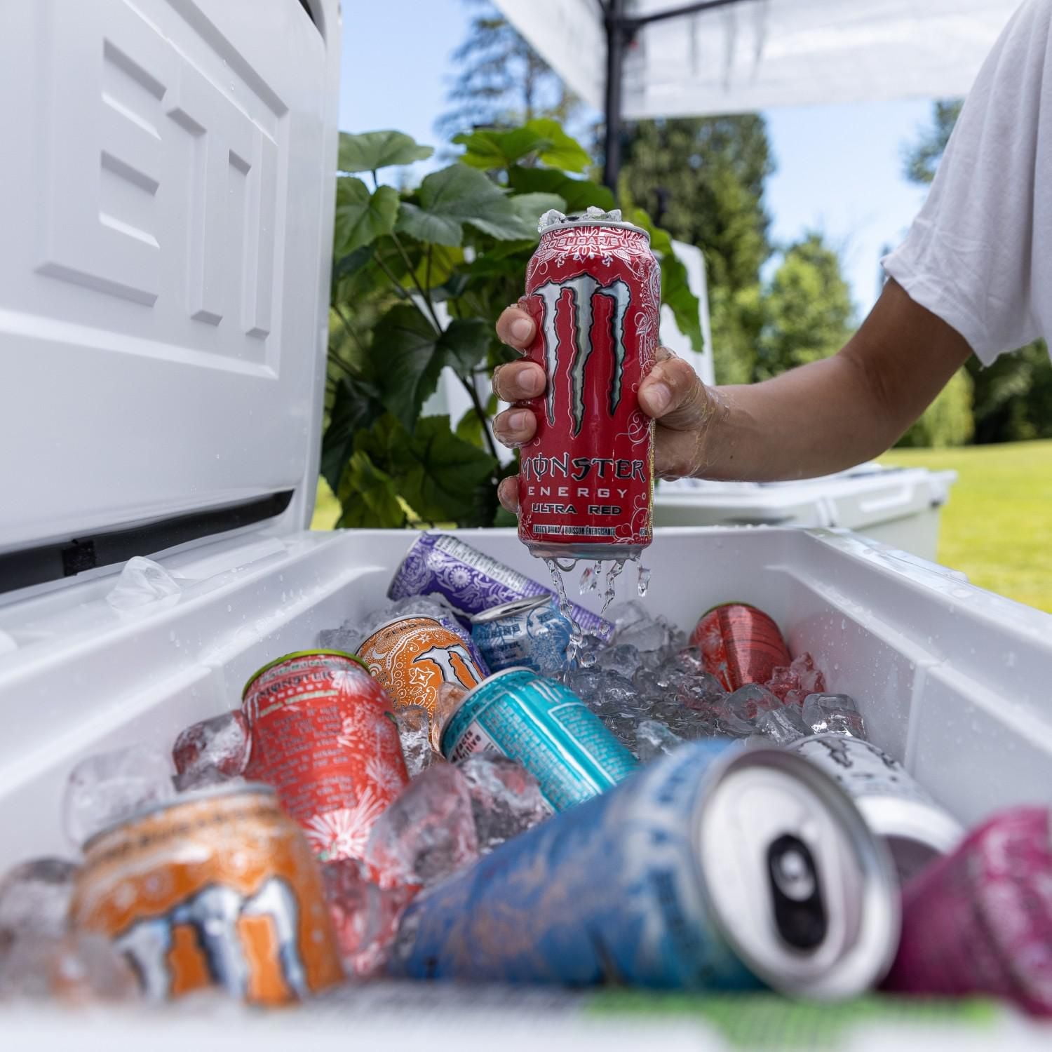 MONSTER ENERGY, Ultra Red, canette de 473 mL Monster Ultra Red Cannette