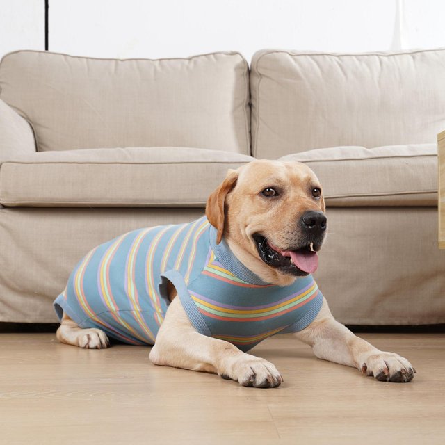 Ropa fisiológica para mascotas Colco pantalones sanitarios chaleco disfraz de cachorro azul