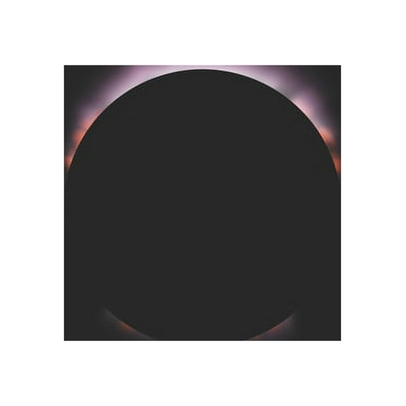 Black Out (Paperback)