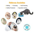 thumbnail image 7 of Pet Licking Mat, Slow Feeder for Dogs and Cats, with Suction Cups Non-Slip, 2-Packs, 7 of 7