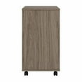 thumbnail image 4 of Pemberly Row 2 Drawer Mobile File Cabinet in Modern Hickory - Engineered Wood, 4 of 10