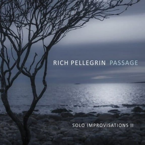 Rich Pellegrin - Passage: Solo Improvisations Ii - Music & Performance - CD