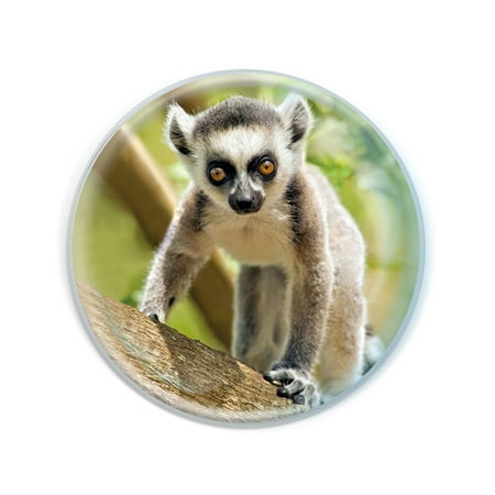 

Magnidome - Ring-Tailed Lemur from Deluxebase. Lemur Crystal Glass Fridge Magnet for Kids. Superb domed shaped round magnets for home decorations and accessories