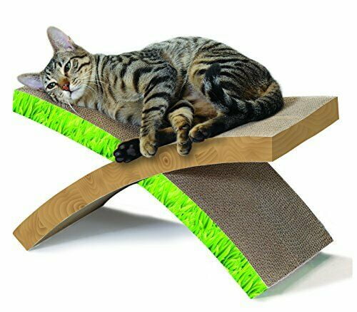 whisker city hammock and scratcher