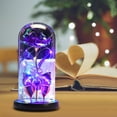 thumbnail image 4 of Danhjin Forever Rose, Colorful Luminous Flower in Glass Cover for Women Valentine's Day Gifts for Mom Anniversary and Birthday as Home Decor, 4 of 7