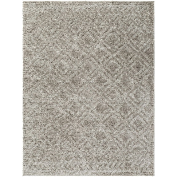 BoutiqueRugs Amnon Contemporary Area Rug - Light Gray, Dark Gray, Taupe - 5'3" x 7'