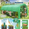 thumbnail image 3 of Sunrise Outdoor Large Heavy Duty Walk-In Plant Gardening Greenhouse, 20'x10'x7', 3 of 9