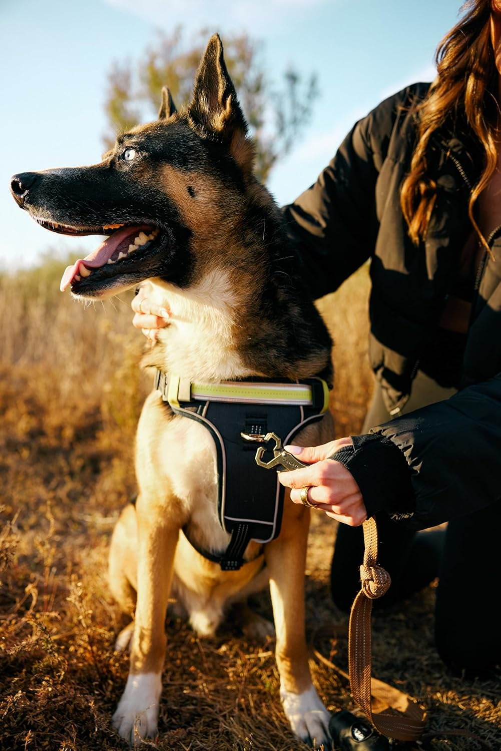 Lumi One LED Dog Harness – High Visibility Light Up Dog Harness for Night Walks – 1000 Lumen LED Dog Vest with Rechargeable Battery, Adjustable Fit & Reflective Dog Apparel (BLACK, EXTRA LARGE)