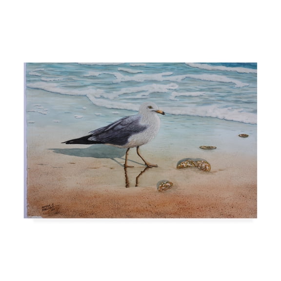 Trademark Fine Art '1 Seagull' Canvas Art by Patrick Sullivan