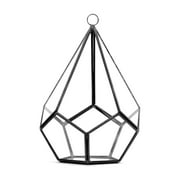 WGV Black Tear Drop Geometric Terrarium - 5.5" Wide x 8" Height, Good quality Terrarium - 1 Pc