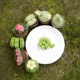 thumbnail image 4 of Full Range of Needle Felting Kit, Kissbuty Cactus Wool Felted Set for Adults and Beginners Including Wool Roving for 8 Succulents, Foam Mat, Glass Pots, Needles, Finger Guards Tools Kit, 4 of 5