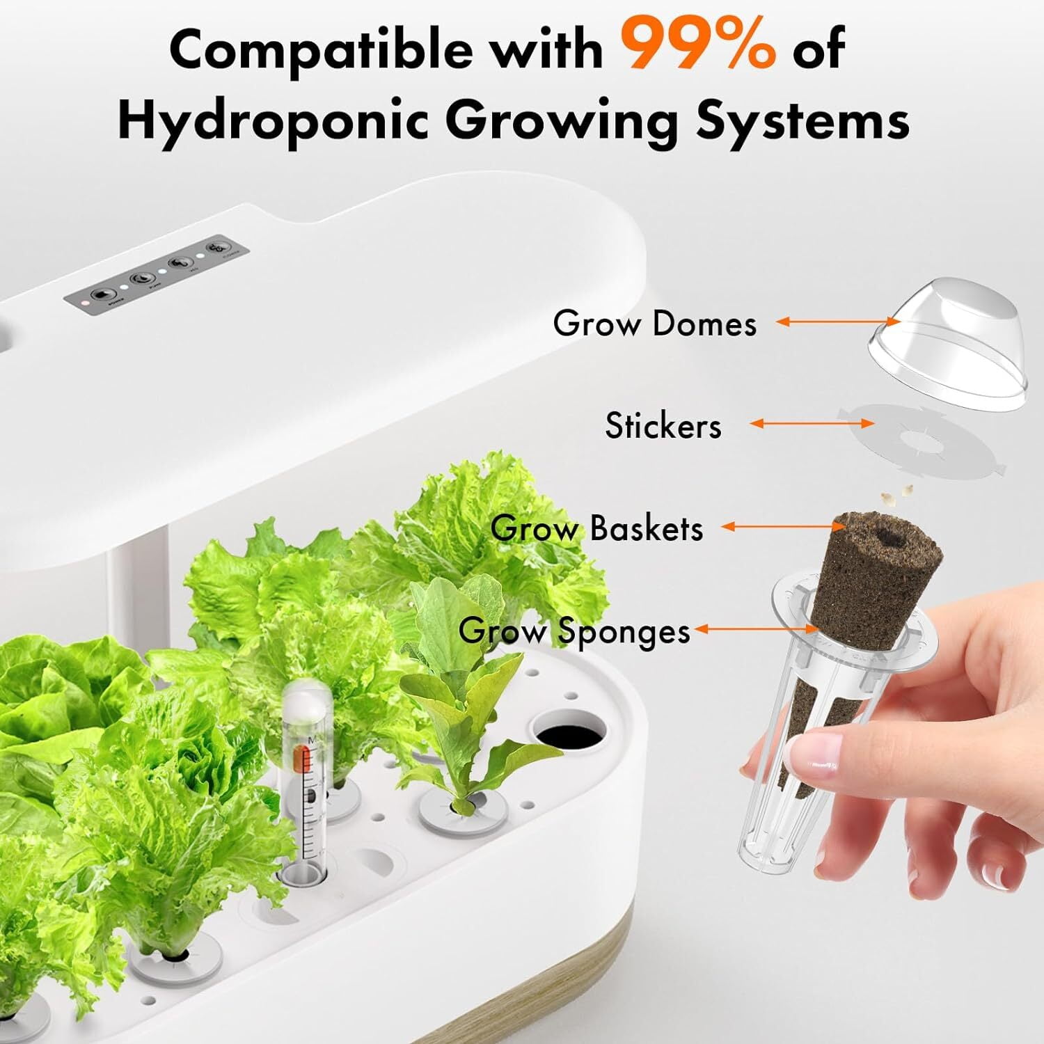 inbloom Fruit Seeds With Pod Kit for AeroGarden, Ahopegarden Hydroponics Garden, 12-Pods